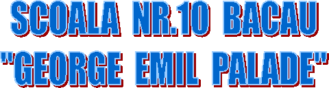 SCOALA NR.10 BACAU
'GEORGE EMIL PALADE'